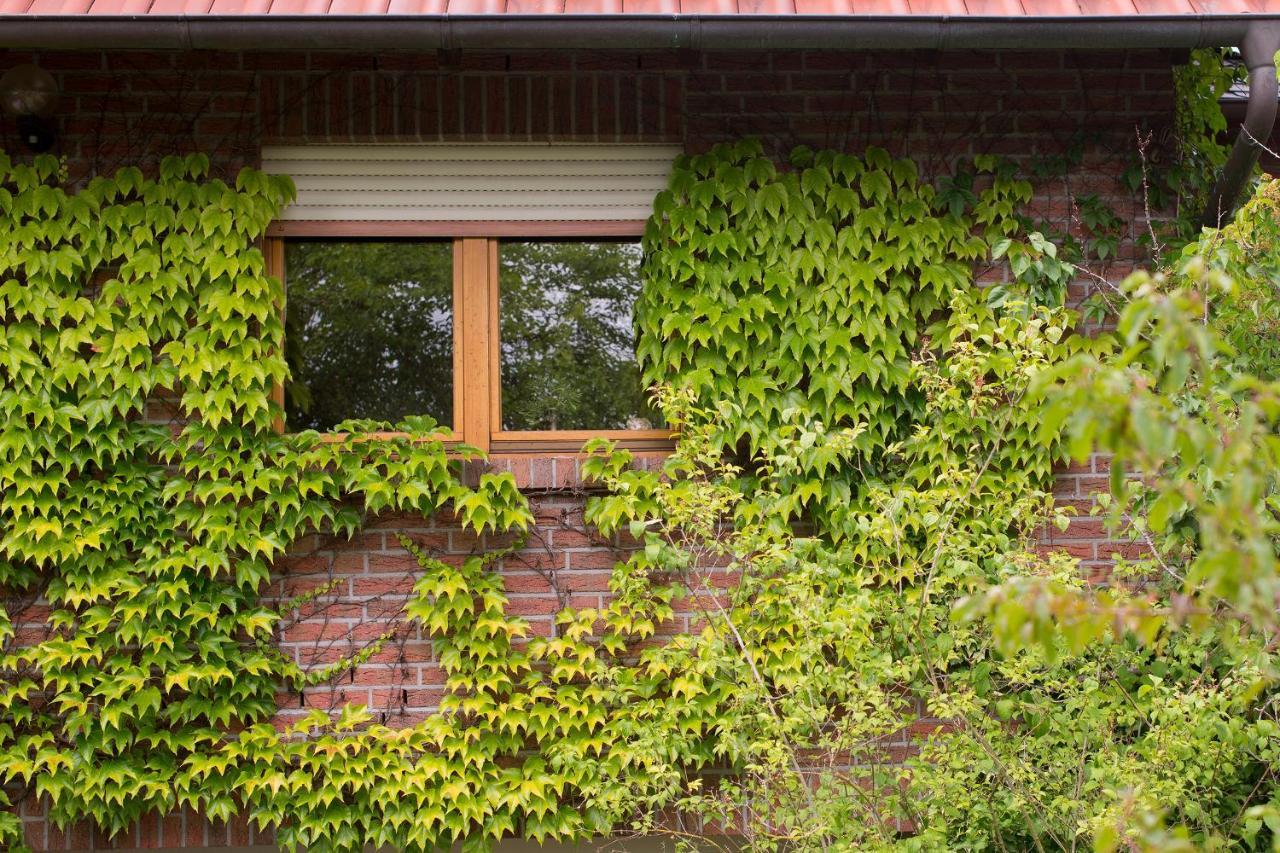 Ferienwohnung Meinersen Exterior photo